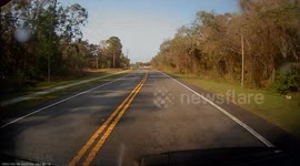 Voice Message Interrupted By Jumping Deer