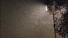 China:  Snow Under the Spotlight