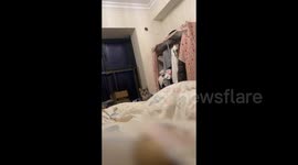 China: Cat’s Pounce