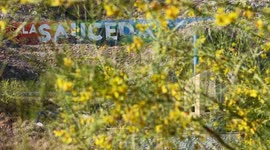 Monumental Letters of La Sauceda Urban Forest in Hermosillo, Mexico. Wetland and Palo Mantecoso tree, pitch or Yabo, a palo verde tree with yellow flowers in spring. Formerly known as La Sauceda Recreational Park, the park offers playgrounds, a wetland, a