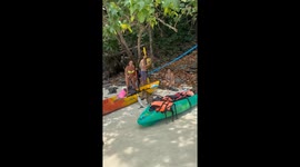 Monkeys Scare  Off Tourists and Steal Their Snacks