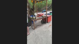 Fruit stall plays hilarious sales call on megaphone to attract tourists