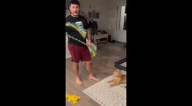 Puppy discovers unexpected towel obsession in Ranson, West Virginia, USA