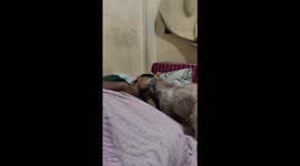 Dog wakes up owner with a lick in Quezon City, Philippines