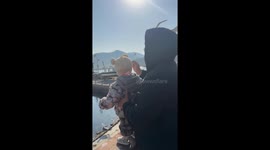 Father feeds seagulls using baby in Liaoning, China