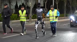 Beijing to host world's first half-marathon for humanoid robots