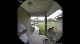 Dog chases startled delivery driver seeing him fall on Louisiana homeowner's lawn