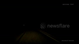 Close Call For Animal Crossing the Road in Russia