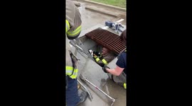 PUPPY RESCUE: Little dog safe after being stuck in storm drain on a rainy Texas USA day
