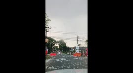 Cotton tree flowers drift across road amid strong winds in Thailand
