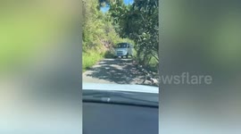 Daring driver reverses at speed along narrow winding mountain road