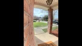 Screaming At Snake Near Doorbell