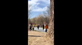 Dust devil tornado tears through park with families camping