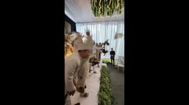 Wedding photographer gets soaked when bride and groom throw water bombs into crowd