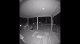 Black Bear Plays With Solar Yard Light