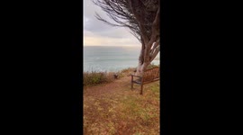 It was a rainy morning on the Mendocino Coast when I looked out over the ocean and saw beautiful rainbow over the sea! I drove to find the perfect spot to capture the moment and happened upon this bench overlooking the ocean. It was truly a magical moment
