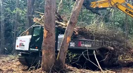US: Army Corps Contractors Clear Hurricane Helene Debris from Bear Creek