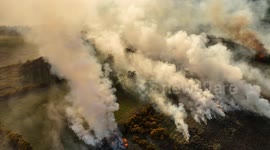 Landscape and Trees Burning In Significant Gorse Fire - Third Day In A Row Of Fires - Aerial Footage April 10th 2025