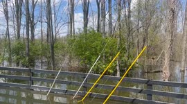 Flood waters slow to proceed miles away from major tributaries.