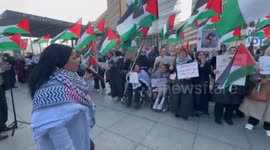 Germany: Berlin protest shows solidarity with Palestine, calls for end to Israeli violence