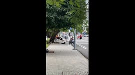 Taxi driver does leg curls with a stray dog... who is loving the ride