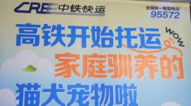 China: First high-speed train allows pets to travel with owners