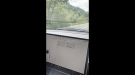 Dog Drives Using Tesla Autopilot