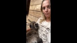 Donkey Babysitter of the Year