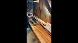 Trapped Kitten Removed From Shed Walls