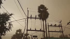 Heavy wave effect the life & electric poll feel down in Bodhgaya, Northern India