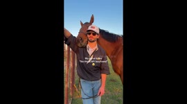 Horsey cuddles farm moment turns into adorable viral video