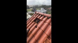 Bats Infest Rooftop Tiles