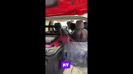 Get outta my car Barbara!!