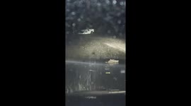 Truck Swept Away in Flood Waters