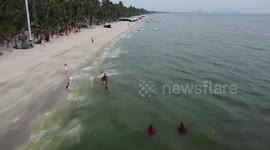 Tourists avoid swimming at Thai beach as gruesome plankton bloom spreads