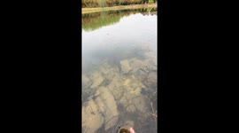 Man hilariously fails to catch fish with bare hands in Anhui, China