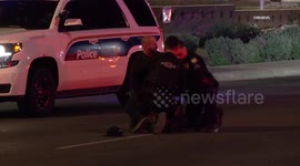 US, Phoenix: Phoenix Suspect Arrested After Police Deploy Grappler Police Bumper