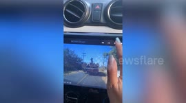 Truck carrying logs reverses uncontrollably and crashes into bushes