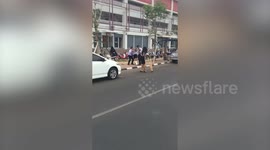 Schoolboys carry their injured classmate across road