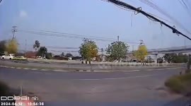 Driver stops traffic to save injured kitten on road