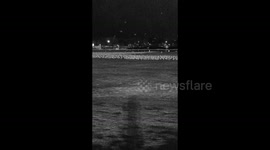 Millions of Birds with NIGHT VISION