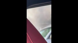 Light aircraft crashes killing three onboard next to road in Florida