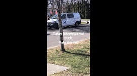 Turkey following a mail truck not near a farm..no one knows where or why the turkey kept following it