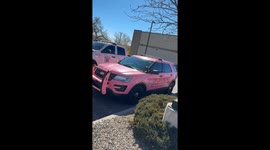 Pink Police Vehicle
