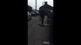 When the Dog Refuses to Walk