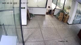 Dad's incredible reflexes save 18-month-old son from falling down stairs