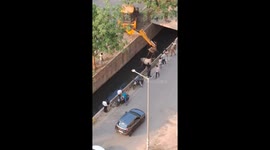 Greater Noida: Open Drain Turns Deadly, Bull Rescued After Hours-Long Operation