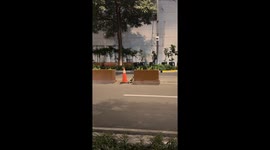 Smart stray cat waits for traffic to clear before crossing road