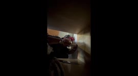 Cat rescued after being trapped in closet in Irapuato, Mexico