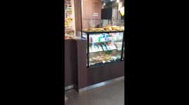 Bird spotted on store counter in Vilnius as person tries to remove it